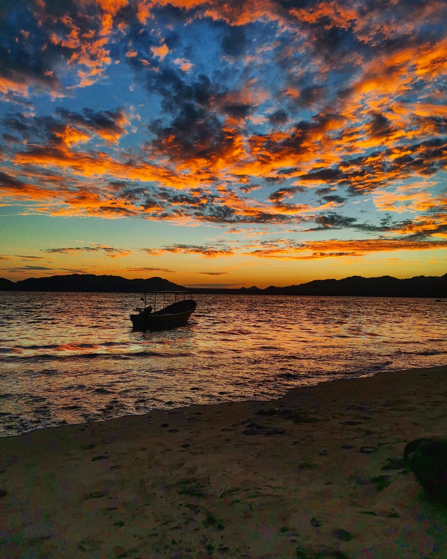 Bioluminescence nigth tour-Group gallery image 2