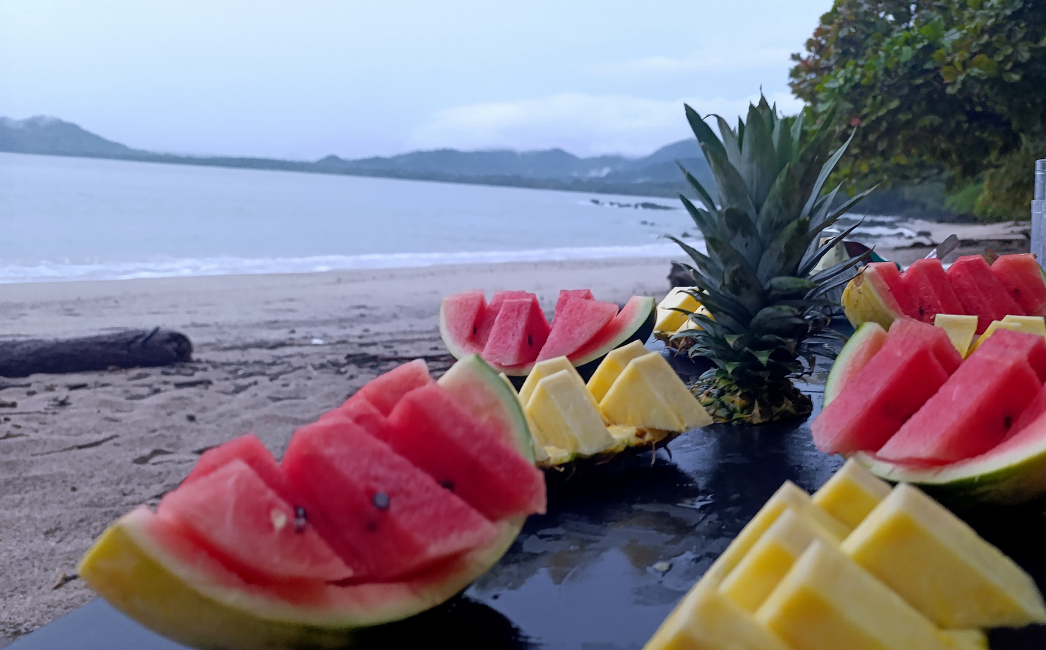 Bioluminescence nigth tour-Group gallery image 3