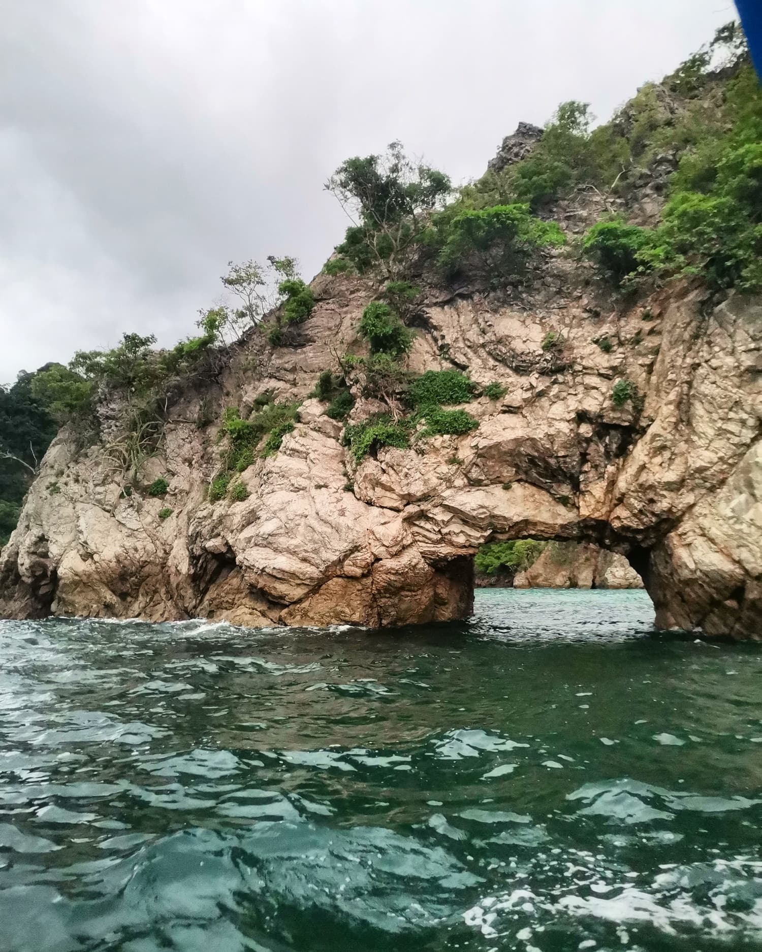 Isla Tortuga Snorkeling-Private gallery image 2